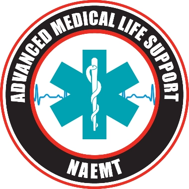 Logo-emer-2